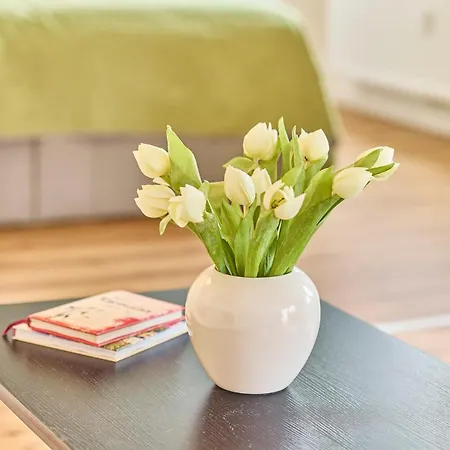 Modernes Studio-apartment In Toller Waldrand-lage Kaiserslautern